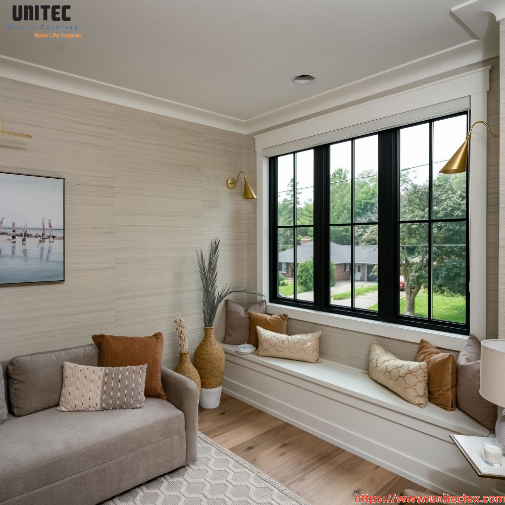 Contemporary Black Window Shades