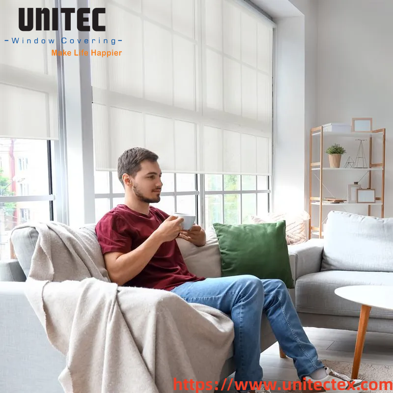 White Roller curtain in Office