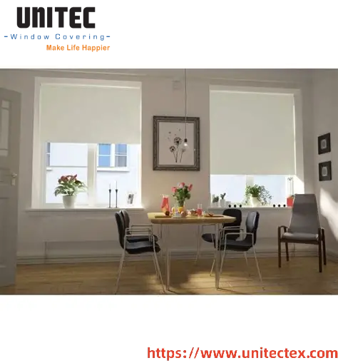 Manual Blackout Roller Shade