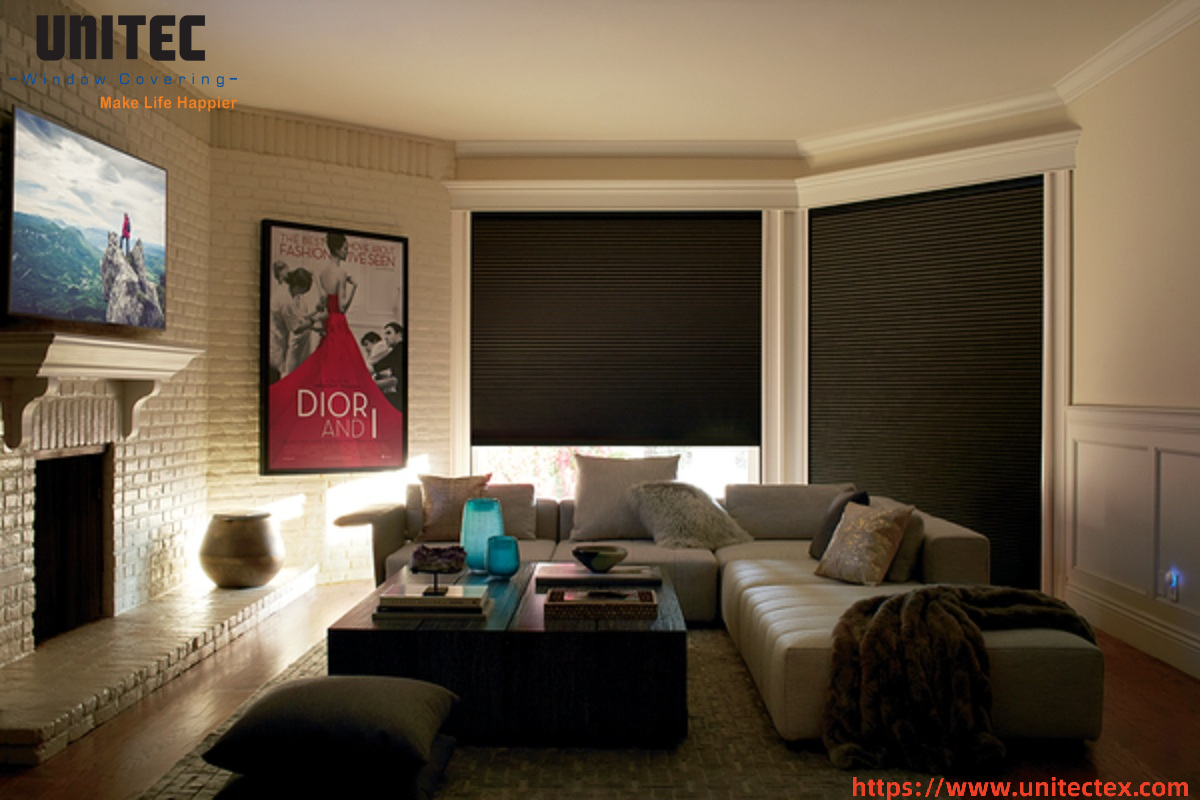 European Style Black Roller Shades