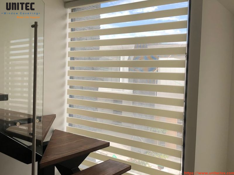 zebra blinds home decor