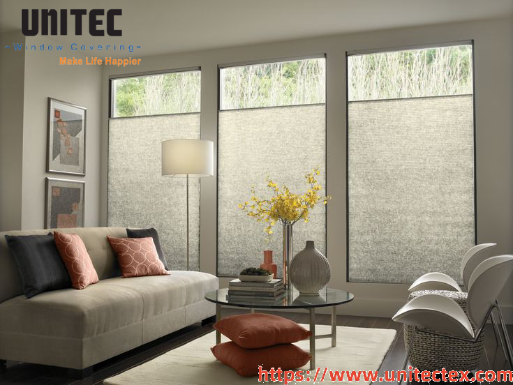 Trendy Window Treatments for Living Rooms