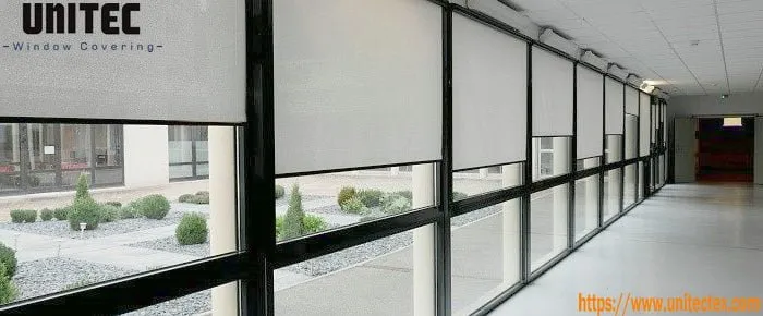 Blackout Roller Blinds with Guides