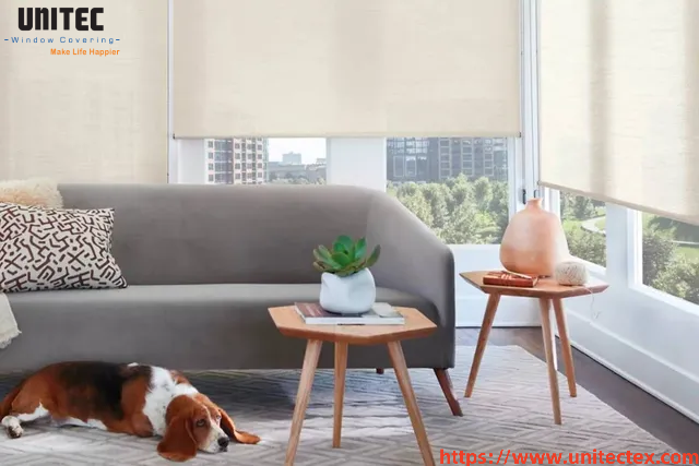 privacy control window blinds
