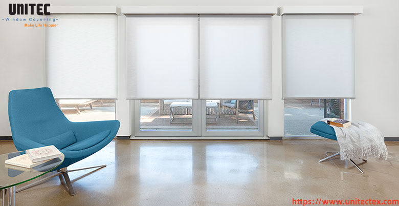 modern roller window treatments
