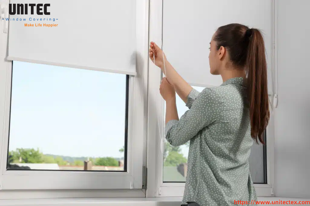 privacy control window blinds