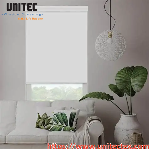 Manual Blackout Roller Shade