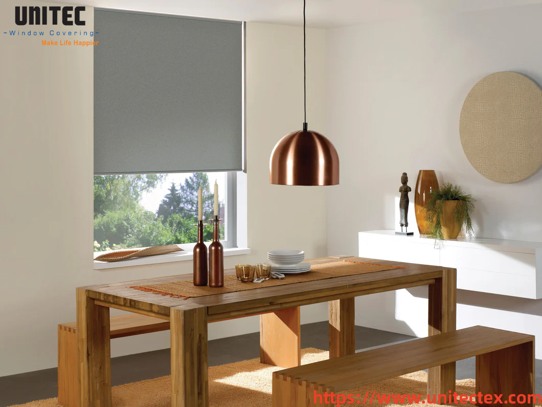 European Style Black Roller Shades