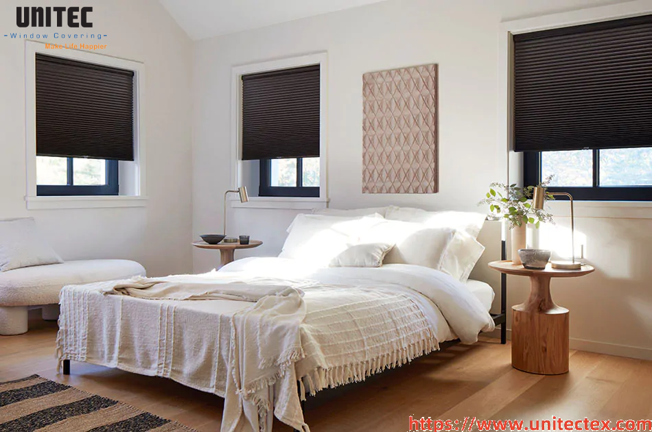 Sleek Window Shades for Modern Homes