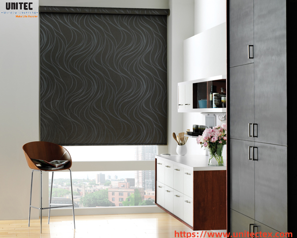 European Style Black Roller Shades