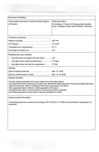 Test report for N95_face masks_1 (2)_看图王