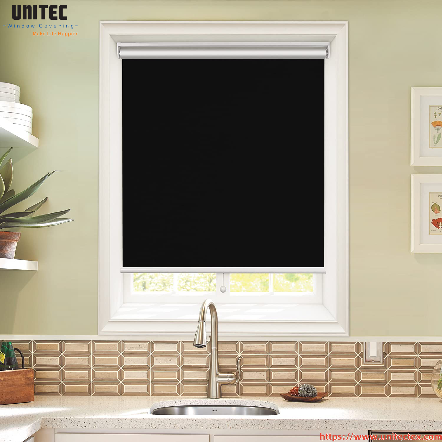 Contemporary Black Window Shades