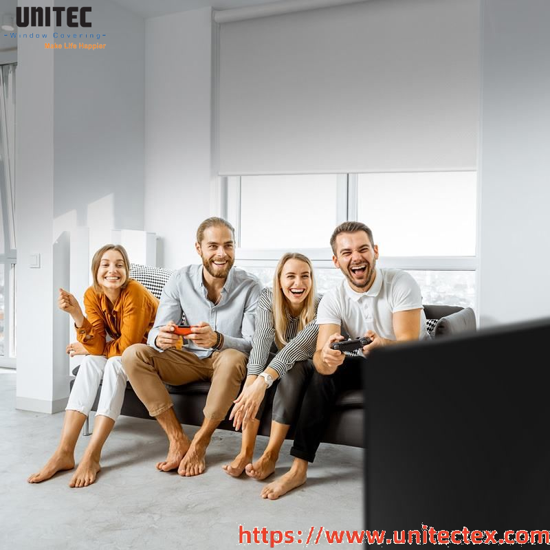 High-End Roller Shades