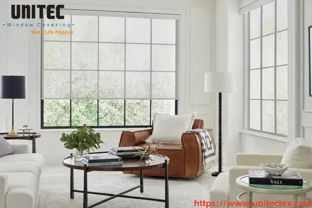 custom roller shades for large windows